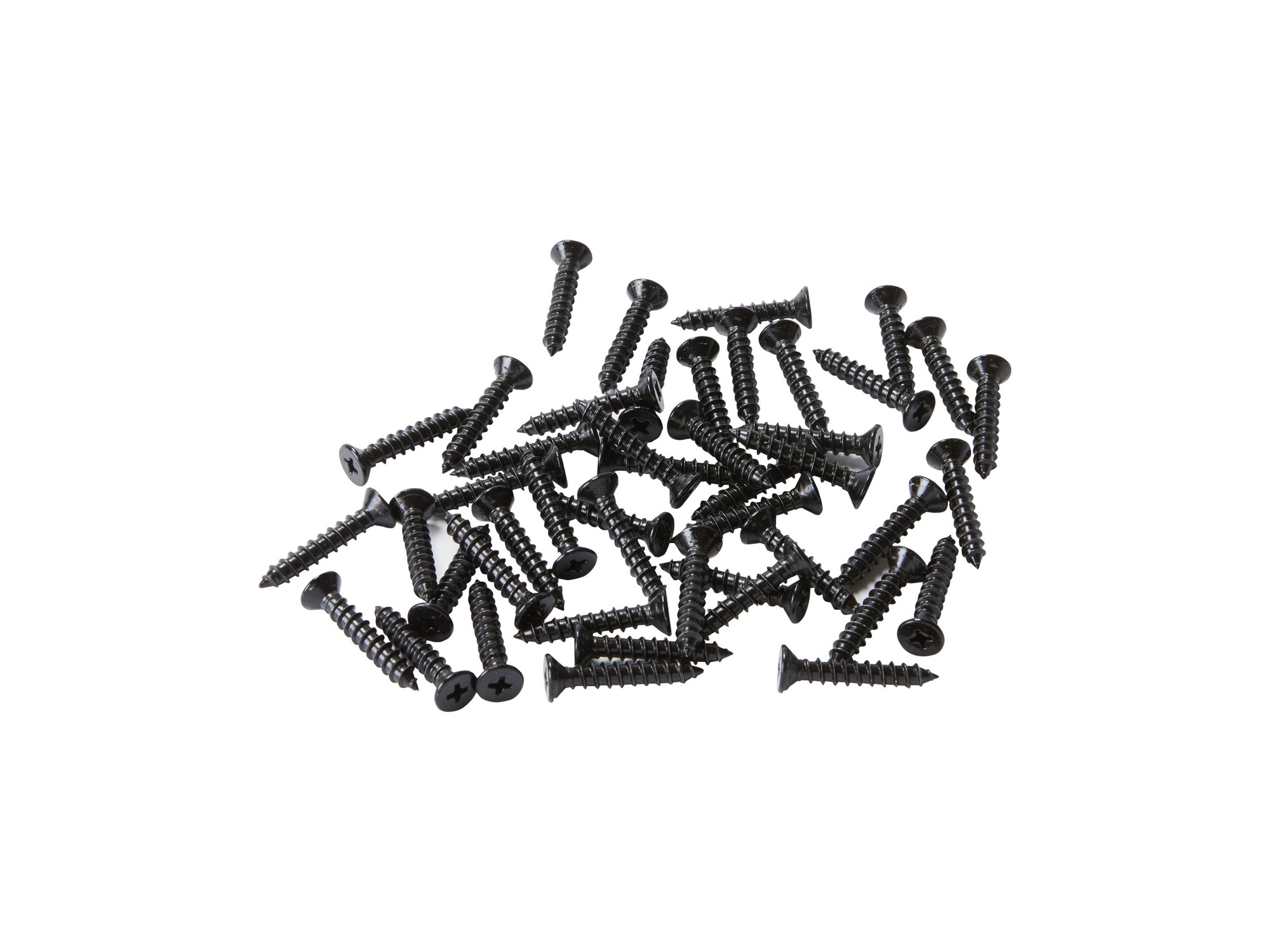 Fortress Estate 1.25" Screws | Bag of 45
