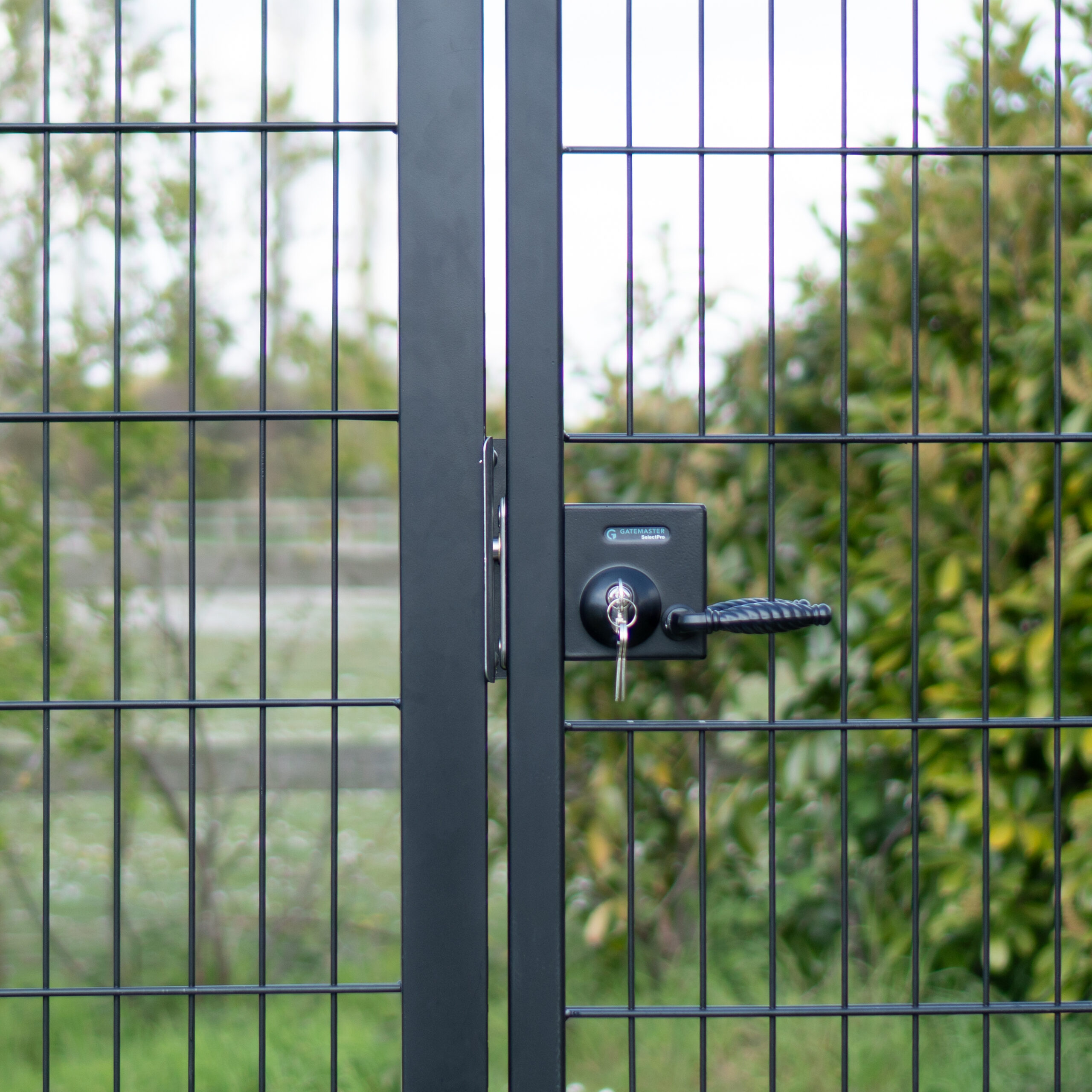 Gatemaster black traditional handle, fitted to a mesh gate with the key in the cylinder