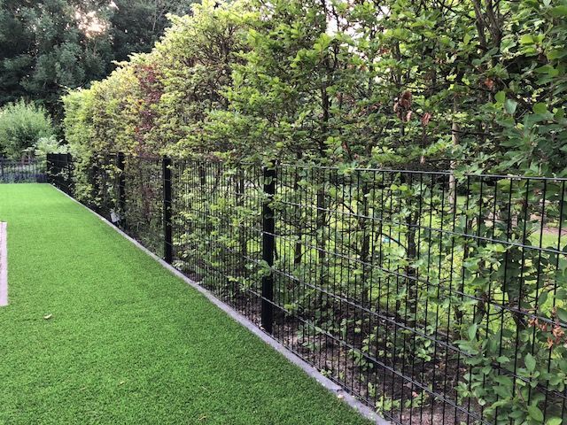 8/6/8 twin wire mesh fence as a garden boundary