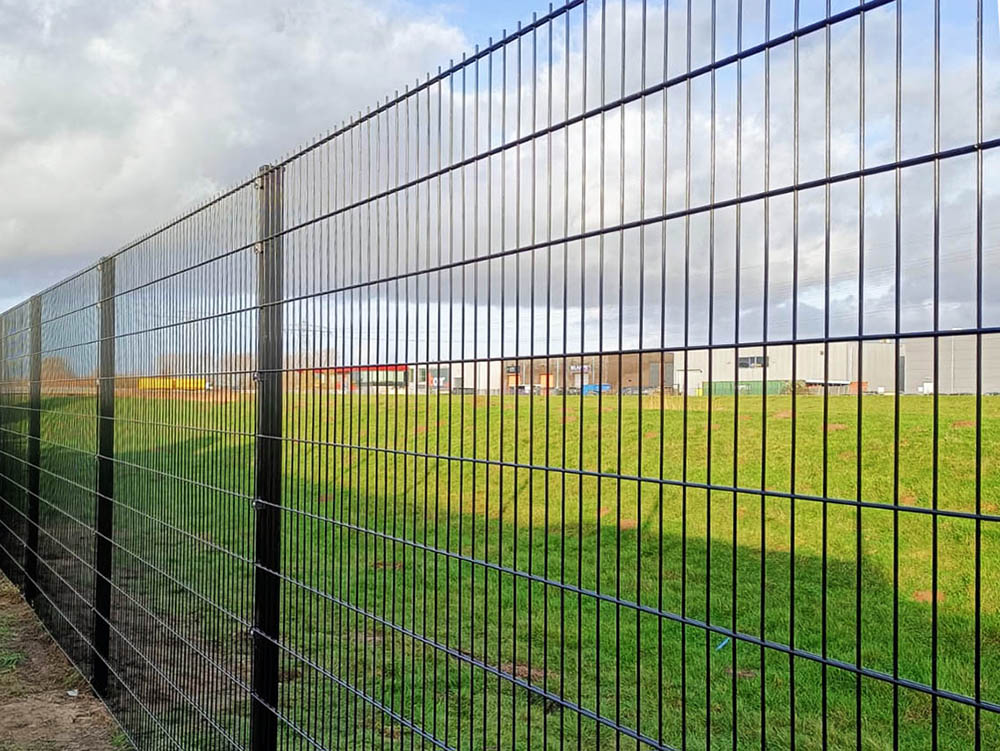 Double wire fence panels on multi posts forming an enclosure