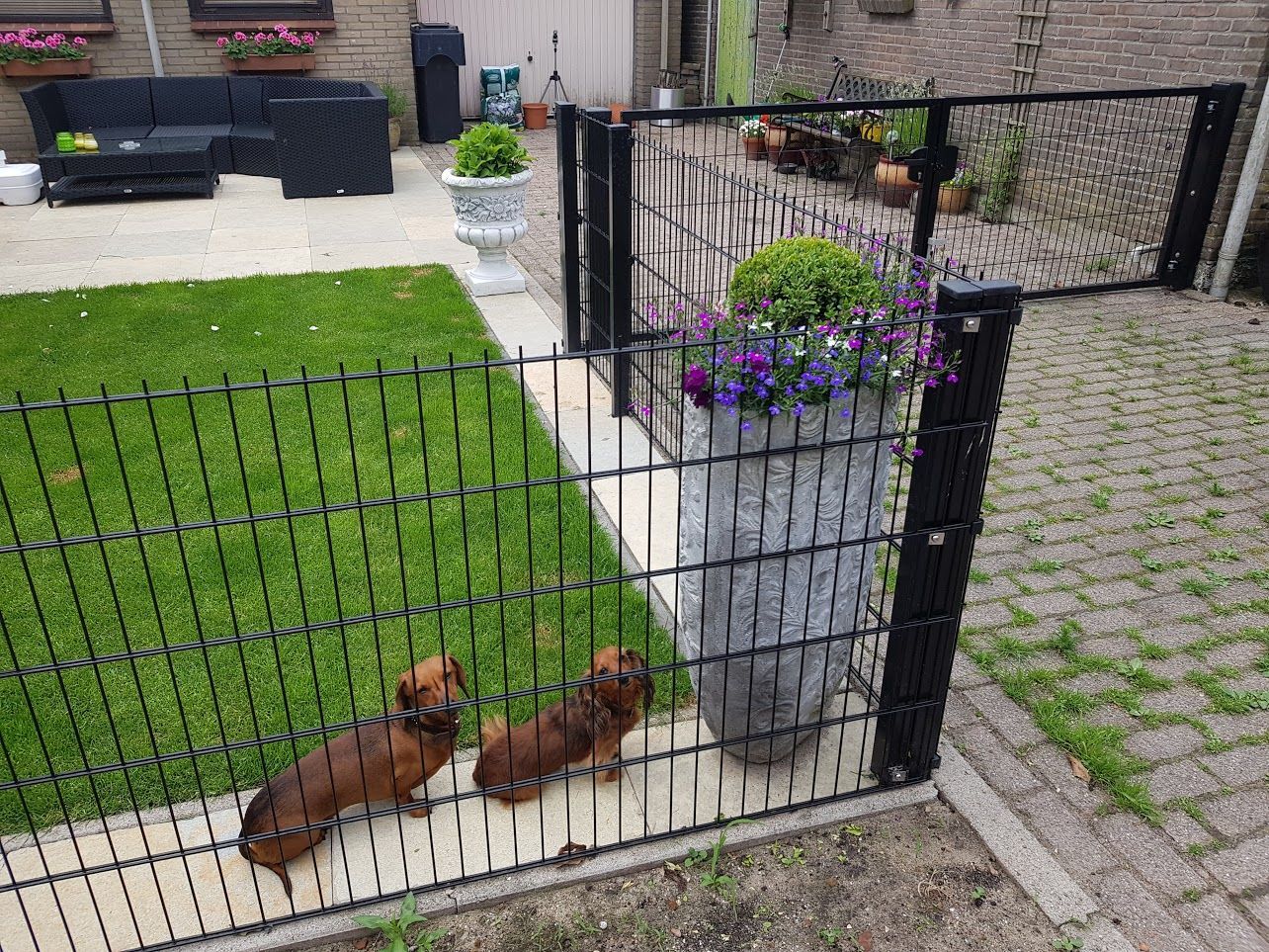Double wire fence installed on Multi posts 60 x 40 mm
