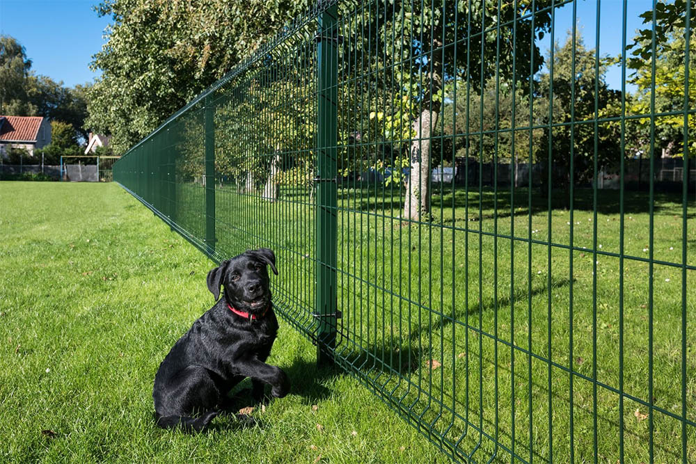 V mesh fence used as a dog enclosure