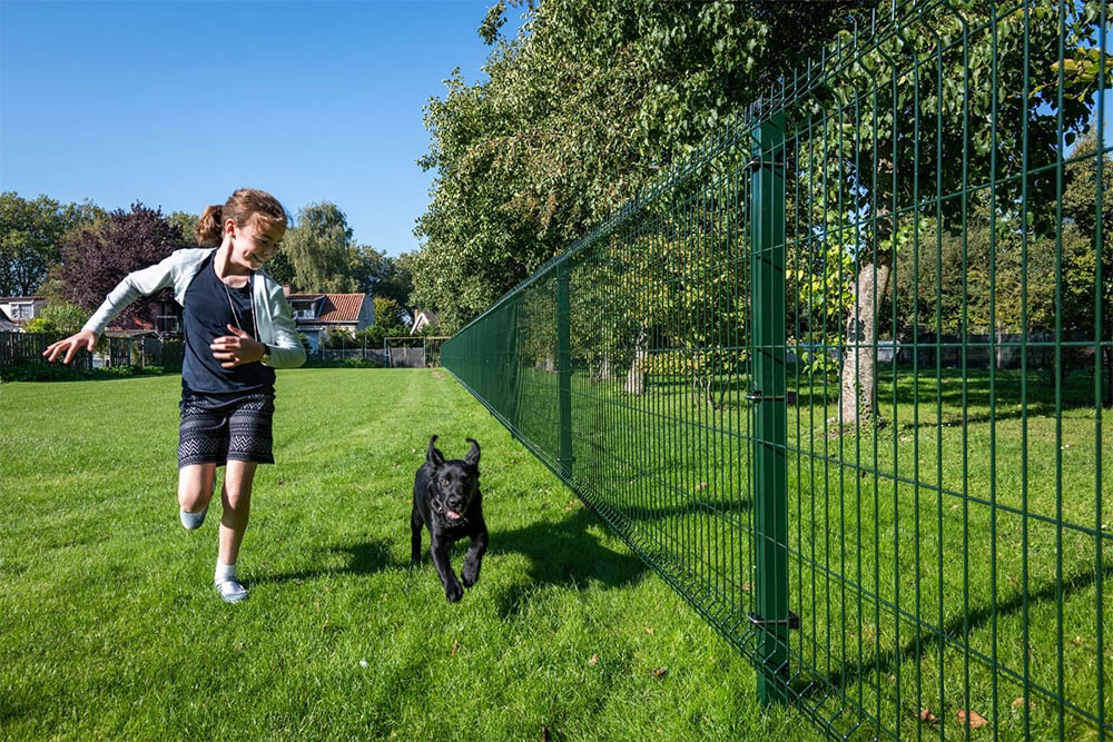 V mesh fence used as a dog enclosure