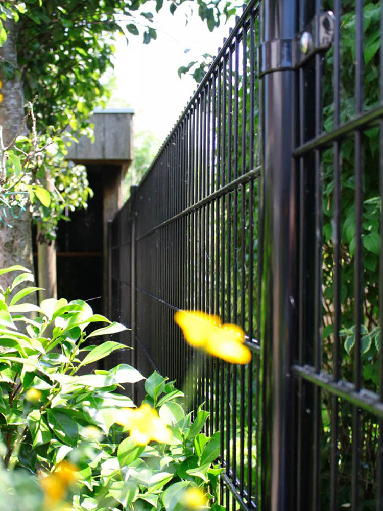 Double wire fence panels forming an enclosure