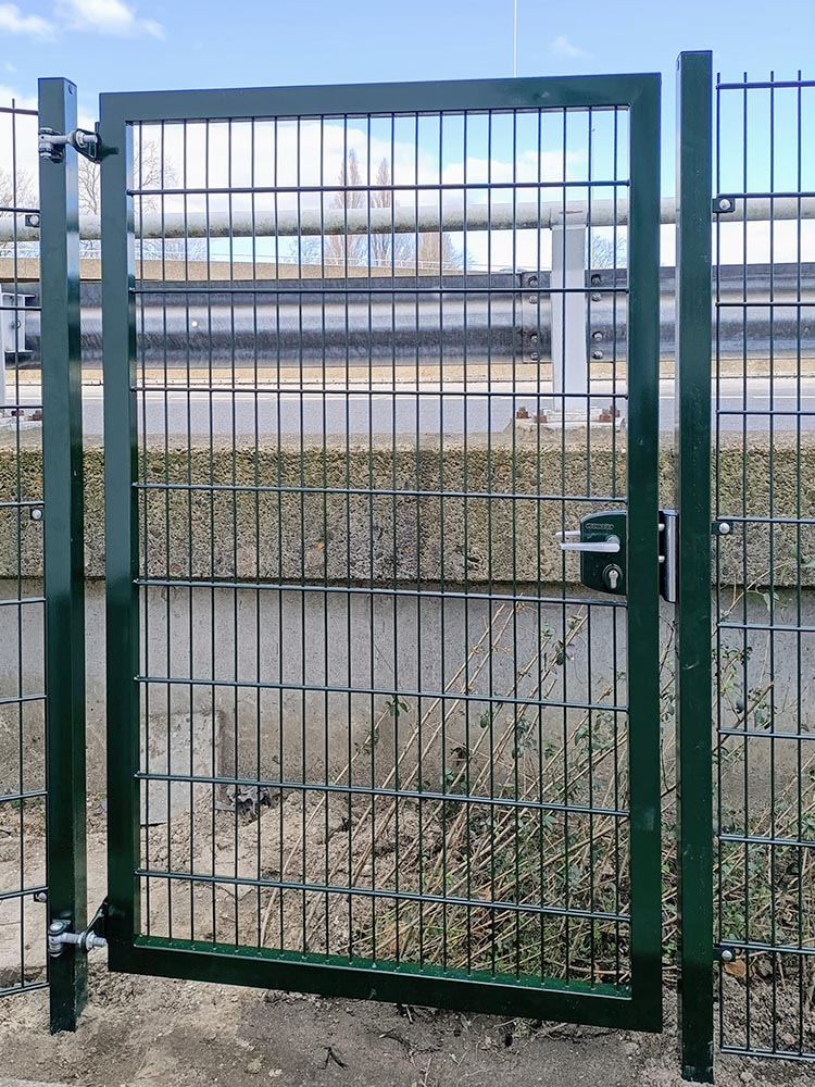 Single gate Professional with 8/6/8 twin wire infill
