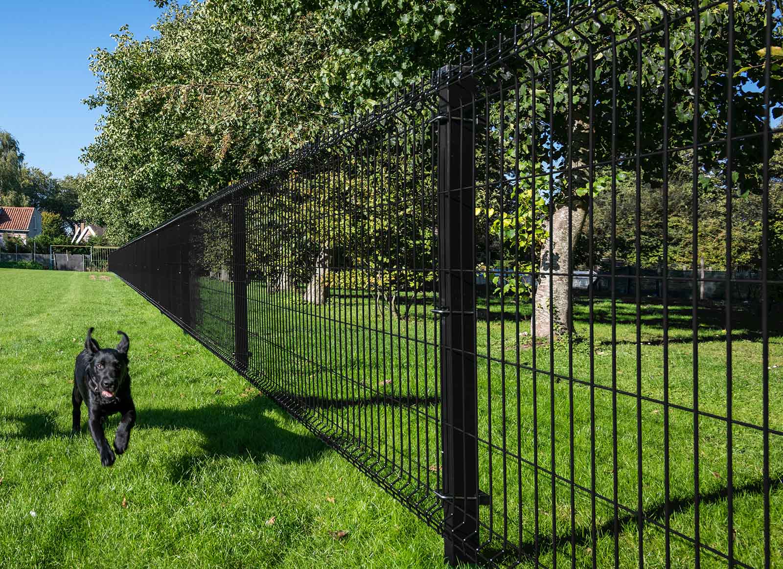 3d Wire Fence